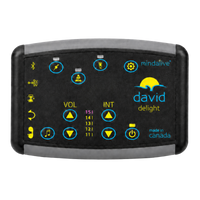 DAVID Delight